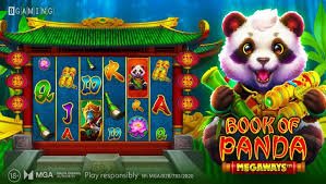 Bangladesh sports browsing scene with royal x entertainment context